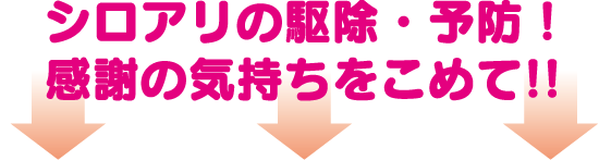 シロアリの駆除・予防！感謝の気持ちをこめて!!